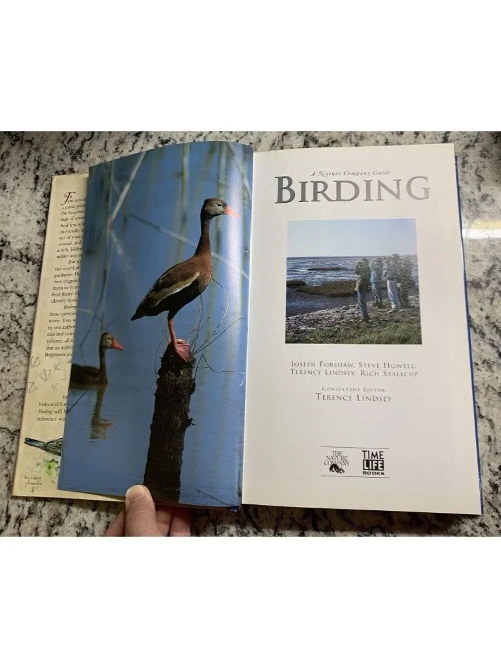 Birding Nature Company Guide Hardcover Illustrated Forshaw Howell Lindsey 1999